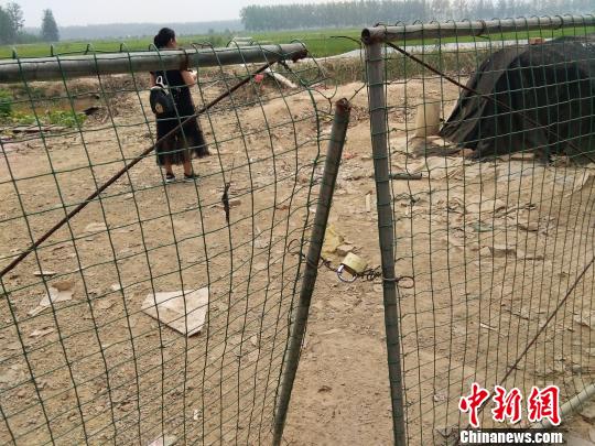 35 years later, the old couple ran into the "dead" son, who had been searching for years after hearing that he had been stolen.